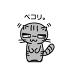ねこのポン。（個別スタンプ：10）
