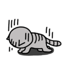 ねこのポン。（個別スタンプ：20）