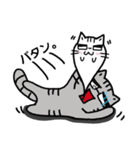 ねこのポン。（個別スタンプ：22）