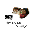 かなままちゃん（個別スタンプ：24）