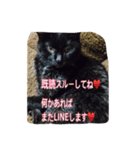 Hello pocky（個別スタンプ：8）