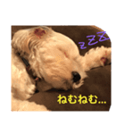 オーちゃんのだらだらいふ（個別スタンプ：2）