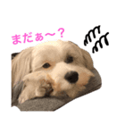 オーちゃんのだらだらいふ（個別スタンプ：3）