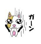 猫メアリーの日常会話（個別スタンプ：31）