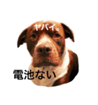 ヌードルズと仲間達（個別スタンプ：11）