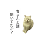 桐原家。（個別スタンプ：3）