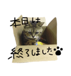 桐原家。（個別スタンプ：8）