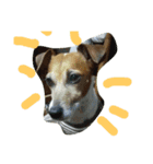 jrt kota（個別スタンプ：2）