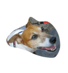 jrt kota（個別スタンプ：3）
