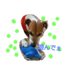 jrt kota（個別スタンプ：4）