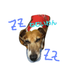 jrt kota（個別スタンプ：8）