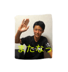 鳳凰（個別スタンプ：11）