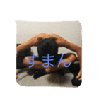 鳳凰（個別スタンプ：14）