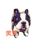 毎日ブヒ（個別スタンプ：6）