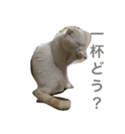 nyanderful  world（個別スタンプ：8）