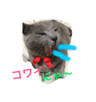 nyanderful  world（個別スタンプ：9）