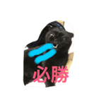 nyanderful  world（個別スタンプ：15）