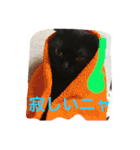 nyanderful  world（個別スタンプ：16）
