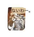 うにまるなの2。（個別スタンプ：5）