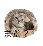 うにまるなの2。（個別スタンプ：6）