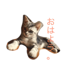 うにまるなの2。（個別スタンプ：14）