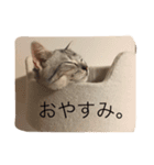 うにまるなの2。（個別スタンプ：15）