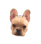 Kinaco the Frenchie（個別スタンプ：5）
