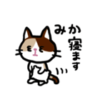 みかネコ（個別スタンプ：9）