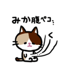 みかネコ（個別スタンプ：11）