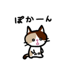 みかネコ（個別スタンプ：12）