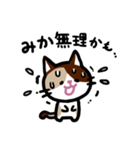 みかネコ（個別スタンプ：14）