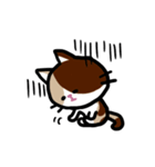 みかネコ（個別スタンプ：16）