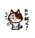 みかネコ（個別スタンプ：26）