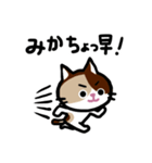みかネコ（個別スタンプ：29）