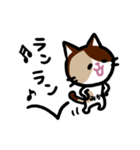 みかネコ（個別スタンプ：39）