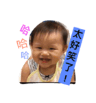 タンちゃんデビュー(15M)（個別スタンプ：1）