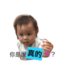 タンちゃんデビュー(15M)（個別スタンプ：2）