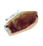 ちゃむくん（個別スタンプ：2）