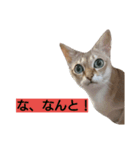 はる パート1（個別スタンプ：7）