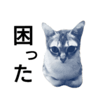はる パート1（個別スタンプ：13）