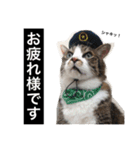 さばお スタンプ（個別スタンプ：1）