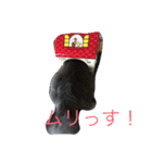 だーい好き。ニャン吉（個別スタンプ：1）