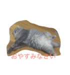 だーい好き。ニャン吉（個別スタンプ：2）