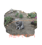 だーい好き。ニャン吉（個別スタンプ：7）