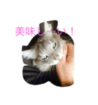 だーい好き。ニャン吉（個別スタンプ：10）
