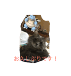 だーい好き。ニャン吉（個別スタンプ：12）