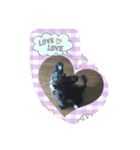 wanLove（個別スタンプ：4）