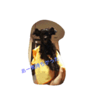 wanLove（個別スタンプ：8）