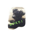 wanLove（個別スタンプ：14）