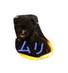wanLove（個別スタンプ：23）
